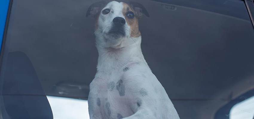 Car Lockout Solutions in Rancho Mirage, California